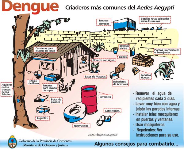 dengue prevencion