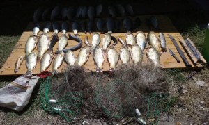 Noticias_chivilcoy_suipacha pesca ilegal 14_2
