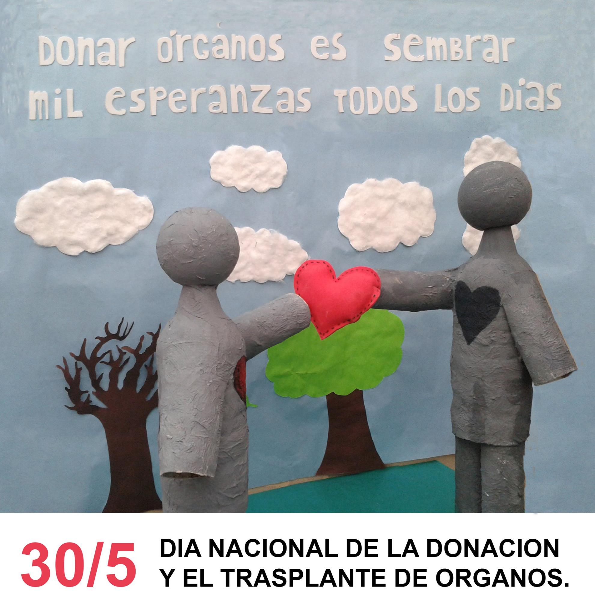 30- 05-2016 - donacion de órganos 2