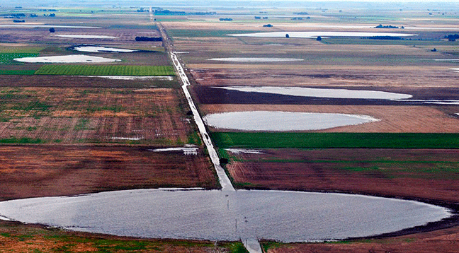 Campos-de-Adolfo-Alsina-inundados